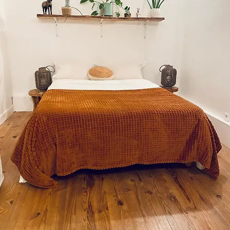 La Maison D' Hote Du Fond Du Riu 게스트하우스 *